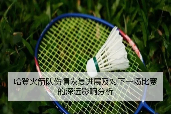 哈登火箭队伤情恢复进展及对下一场比赛的深远影响分析